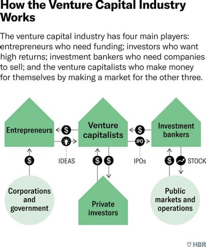 What is the role of venture capitalist in starting new business?