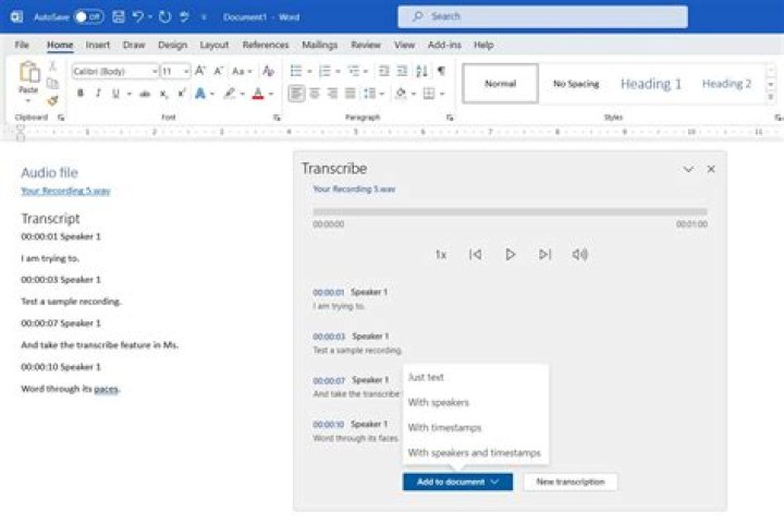 What is transcribe with example?