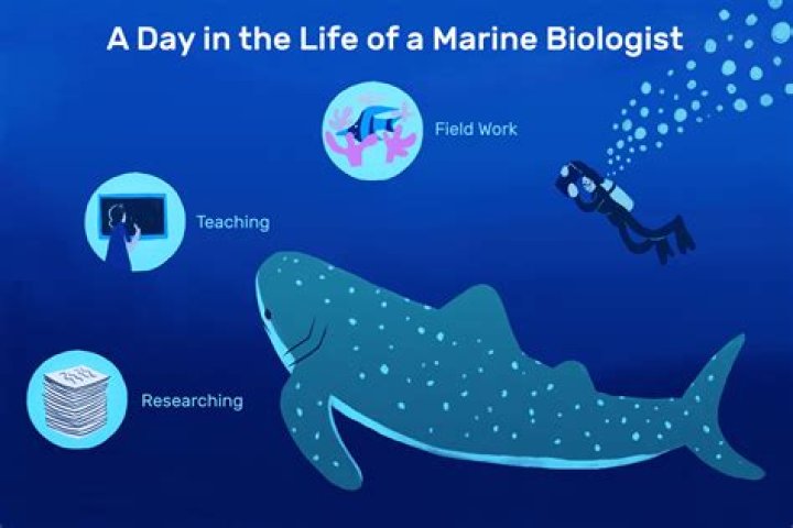What tasks do marine biologist do?