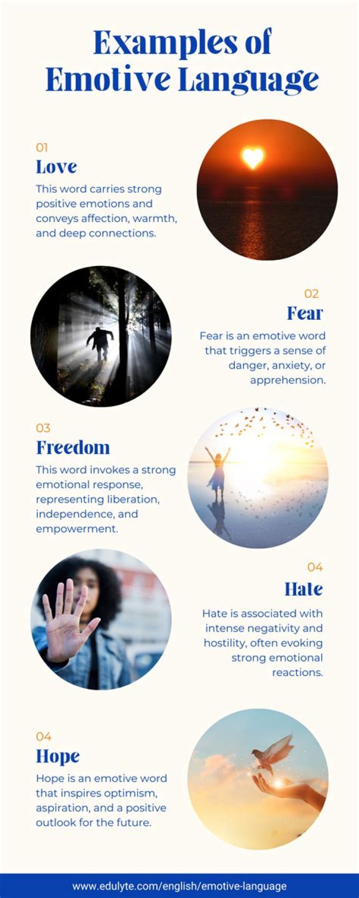 What type of language is emotive language?