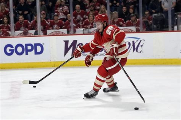 When did hockey become professional?