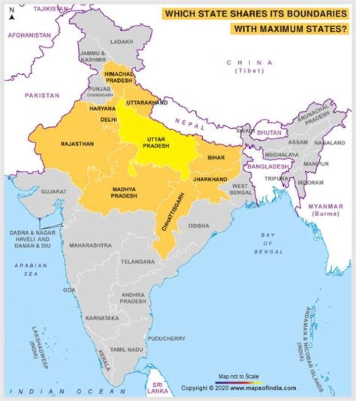 Which Indian state published maximum number of newspaper?
