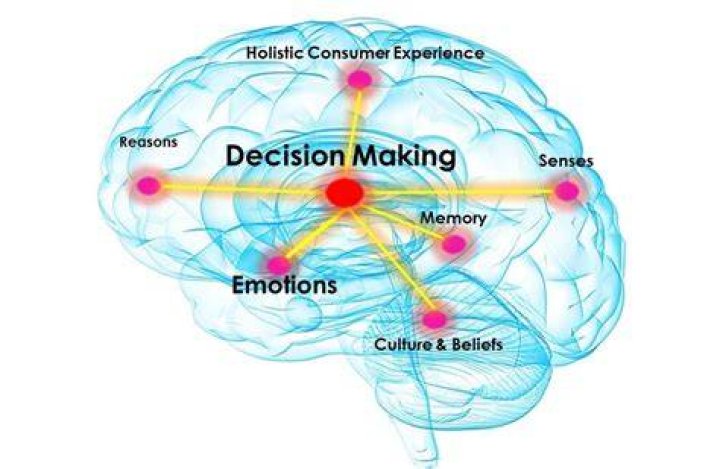 Which part of the brain is responsible for making decisions?