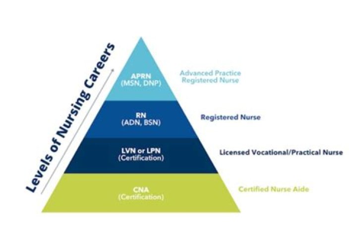 Who controls nursing on all levels?