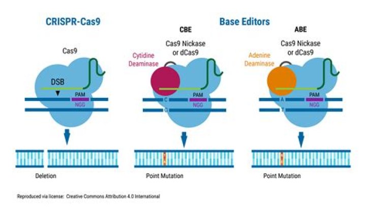 Who is the editor of DNA?