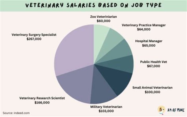 Who makes more money a vet or doctor?