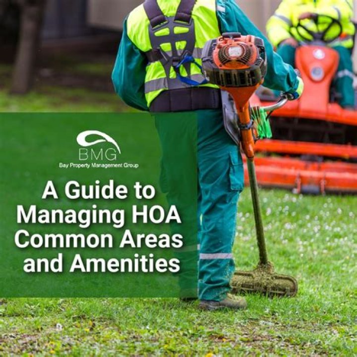 Who owns the common area in an HOA?