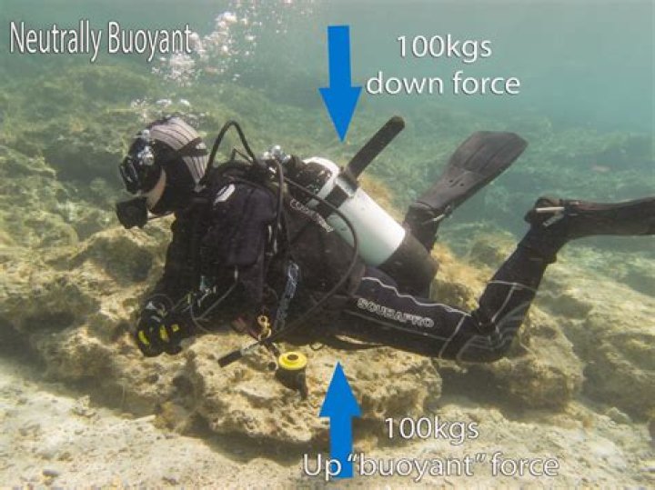 Why is buoyancy important in scuba diving?